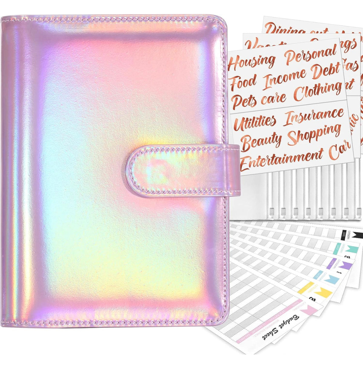 Custom Budget Binder