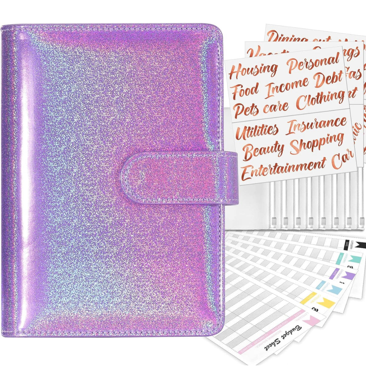 Custom Budget Binder