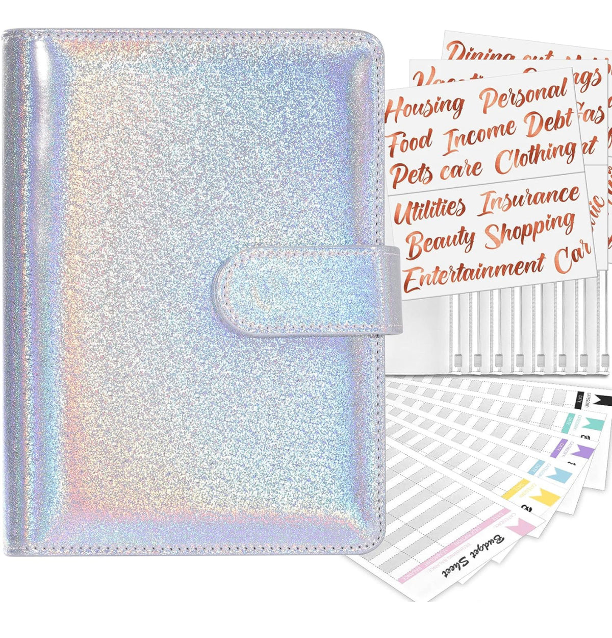 Custom Budget Binder
